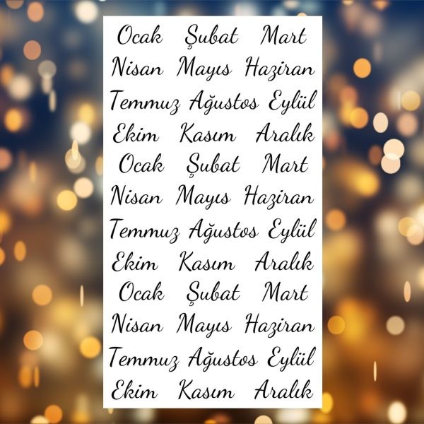 Aylar Sticker Seti
