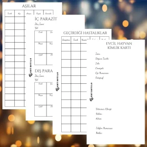 Get Estilo Evcil Hayvan Seti A6 (Dijital PDF)